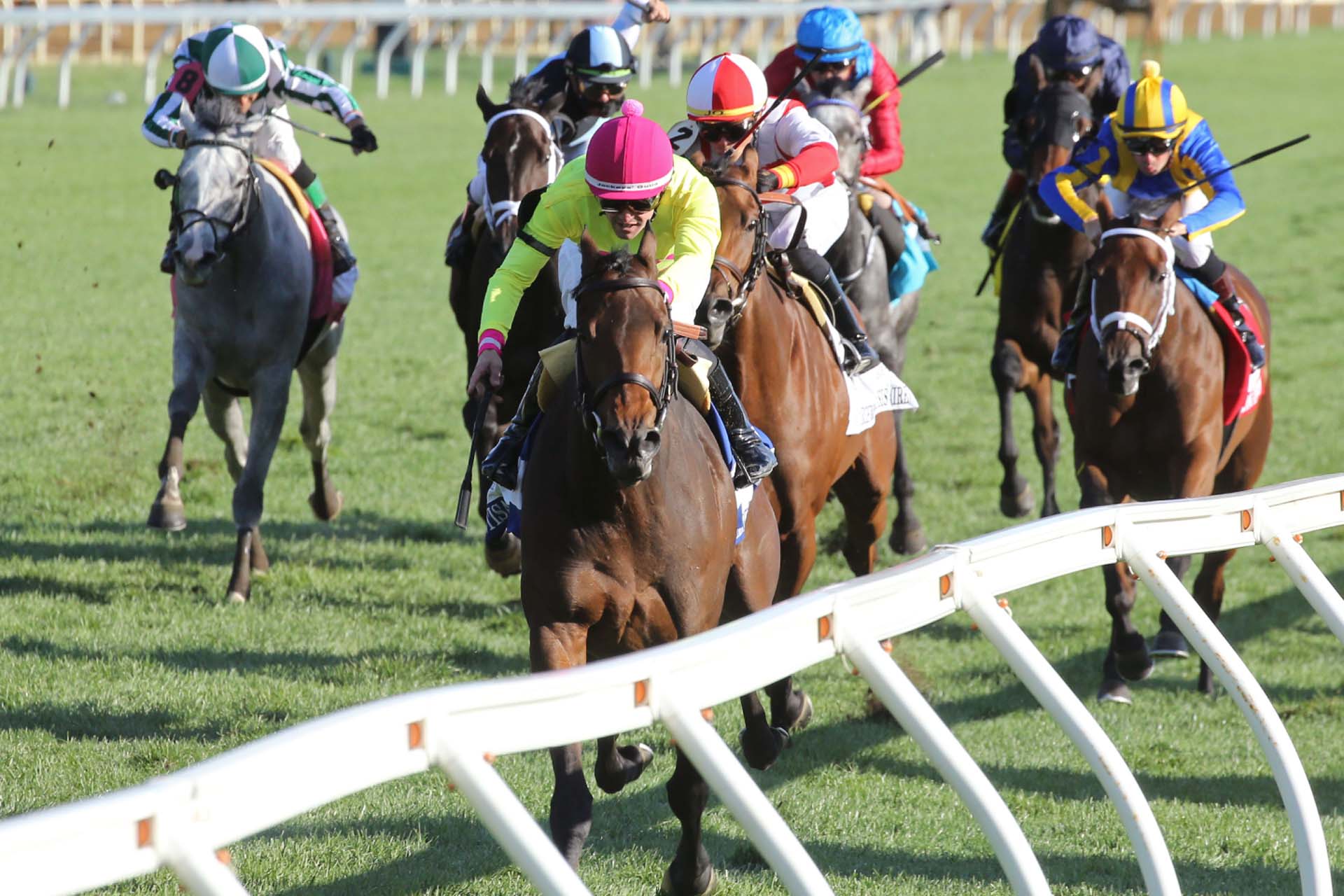 An action shot of jockeys riding their horses mid race. A jockey in a neon yellow shirt and pink hat riding a chestnut brown horse is in the lead.